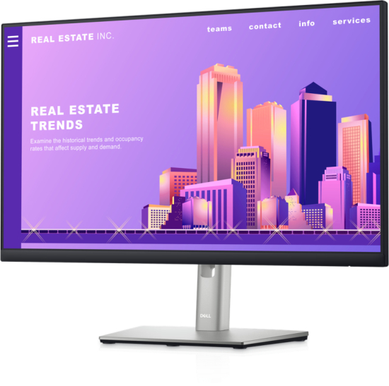 Dell Monitor P2422H 210-AZYX
