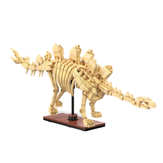 CaDAdinozavrov fosil: Stegosaurus C59012W